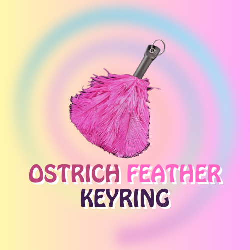 Ostrich Feather Keyring Handbag Charm With Leather Top